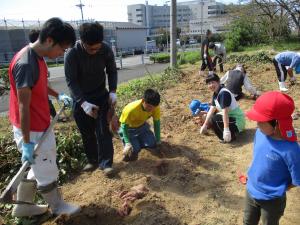 芋掘り参加者1