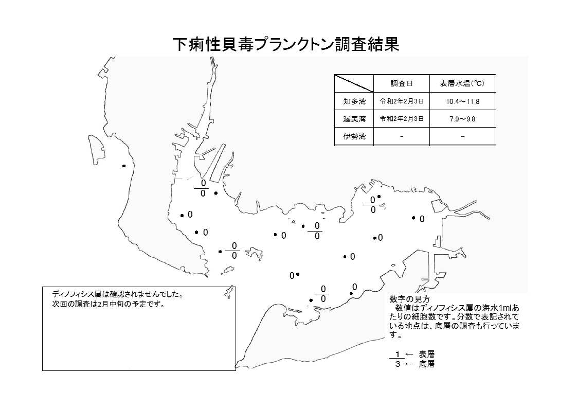 下痢性貝毒プランクトン調査結果20200203