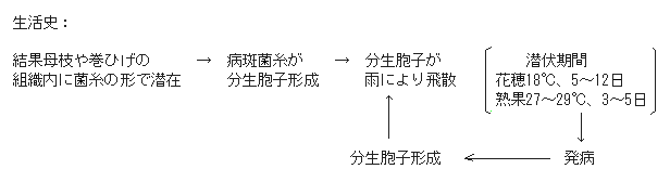 病原菌の生態