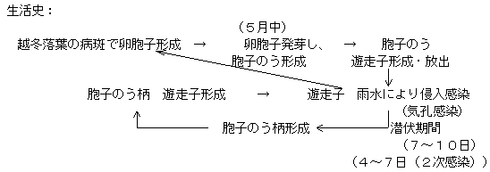 病原菌の生態