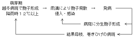 生活史