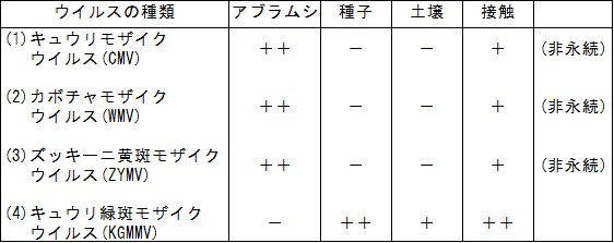 伝染経路