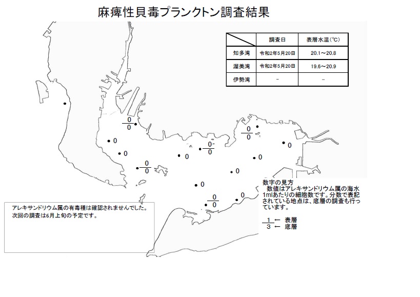 麻痺性貝毒プランクトン調査結果20200520