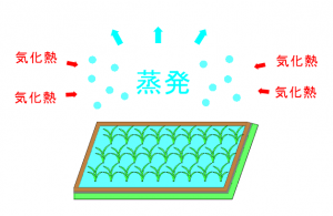 水田から水分が蒸発する様子