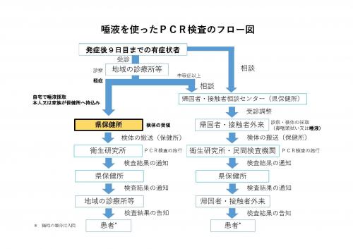 やり方 pcr 検査 唾液