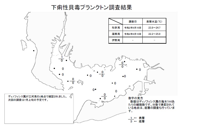 下痢性貝毒プランクトン調査結果20200610