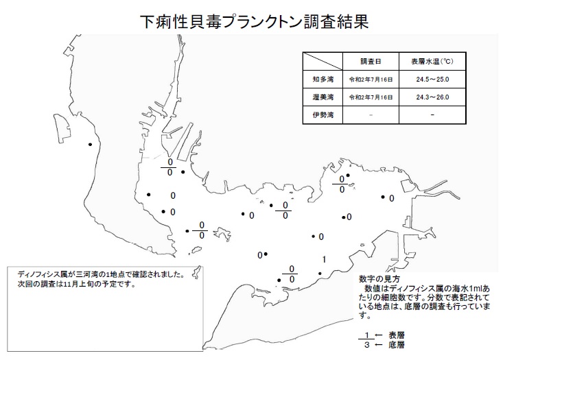 下痢性貝毒プランクトン調査結果20200716