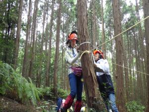 森の健康診断