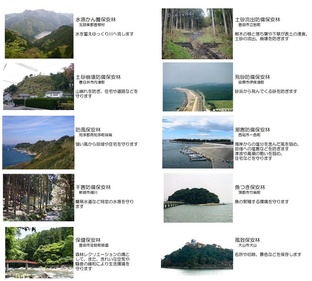 愛知県の保安林写真
