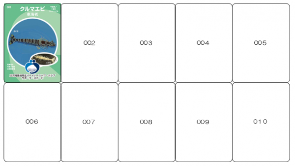 カード10枚