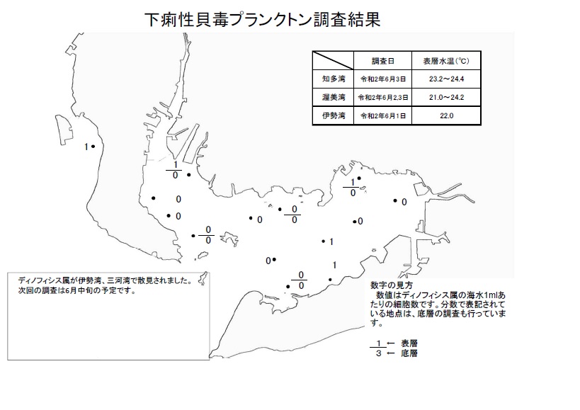 下痢性貝毒プランクトン調査結果20200601