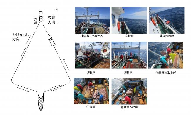 沖合底びき網漁業の概要