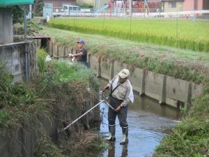 水路の草刈り