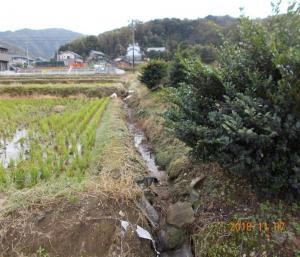 素掘り水路の更新(前)