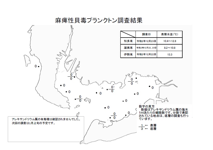 麻痺性貝毒プランクトン調査結果20201222