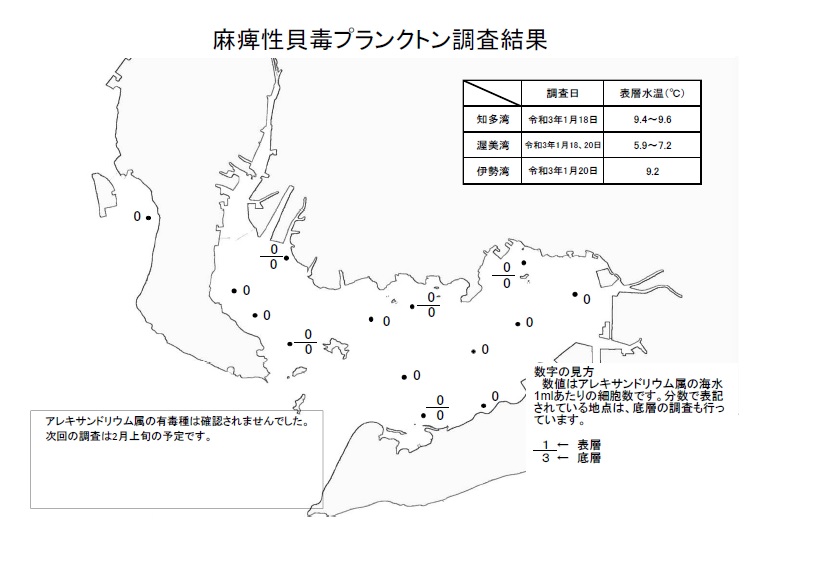 麻痺性貝毒プランクトン調査結果20210118