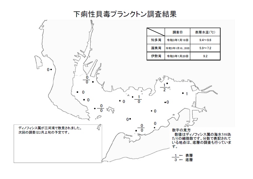 下痢性貝毒プランクトン調査結果20210118