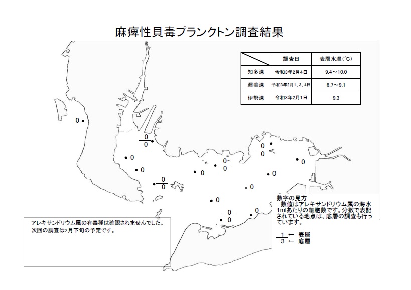 麻痺性貝毒プランクトン調査結果20210201