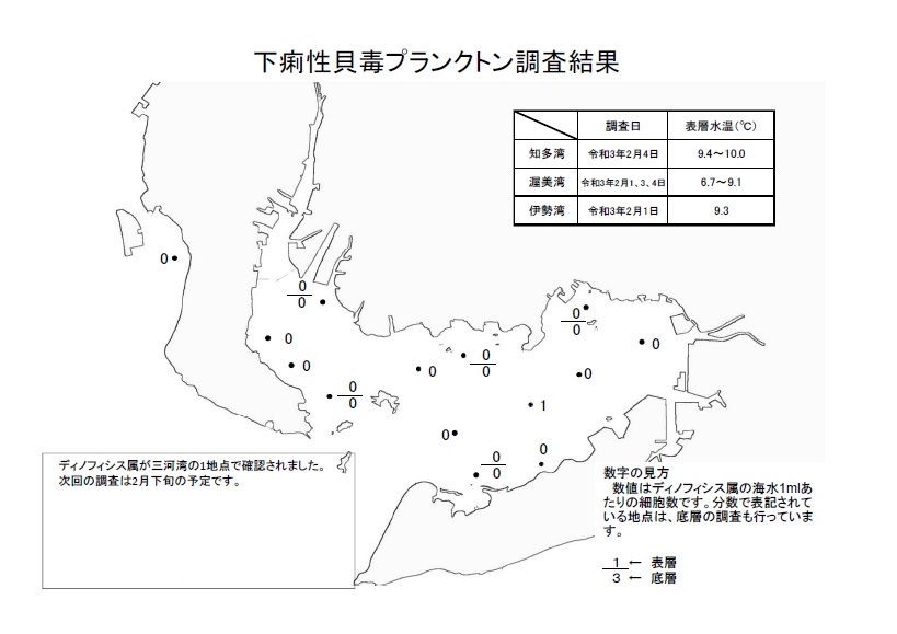 下痢性貝毒プランクトン調査結果20210201