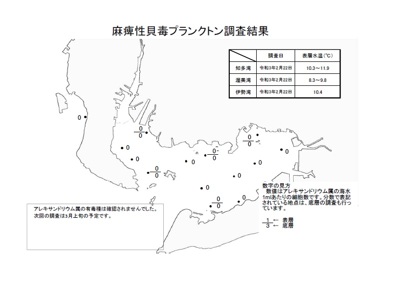 麻痺性貝毒プランクトン調査結果20210222