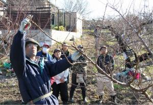 モモ栽培サポータークラブの活動支援