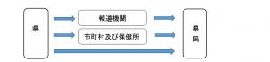 情報伝達の流れ