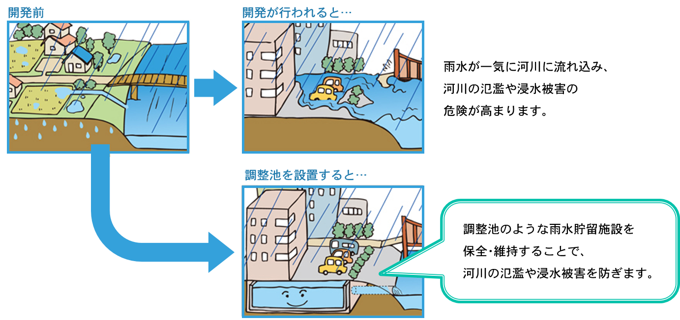 保全調整地