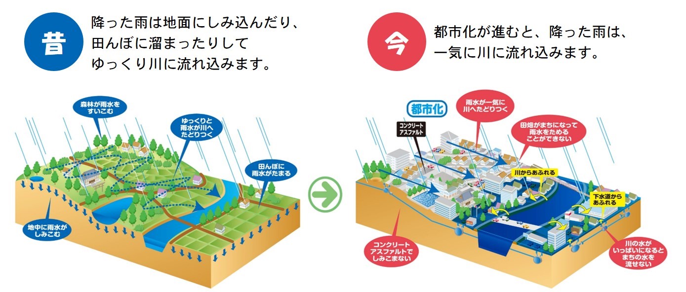 流域の都市化