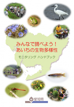ハンドブック