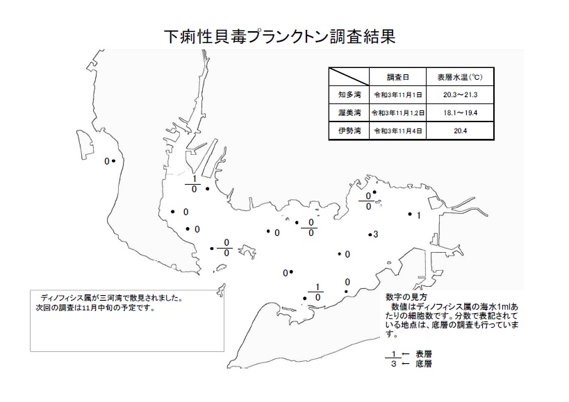 下痢性貝毒プランクトン調査結果20211101～04