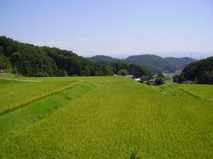 里山