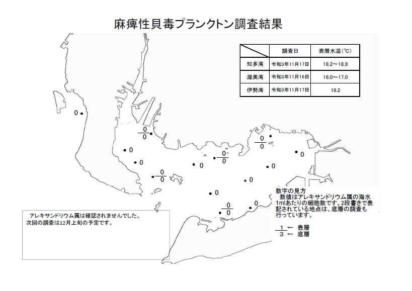 麻痺性貝毒プランクトン調査結果20211116～17