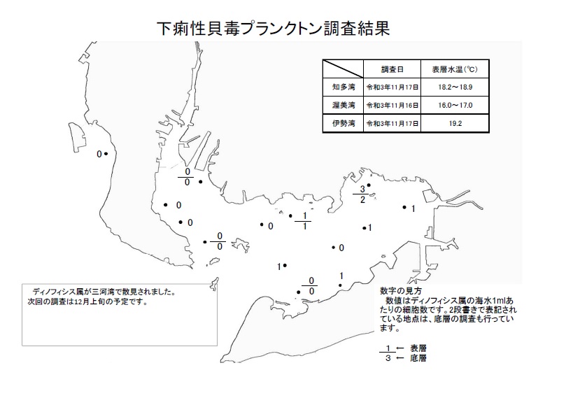 下痢性貝毒プランクトン調査結果20211116～17