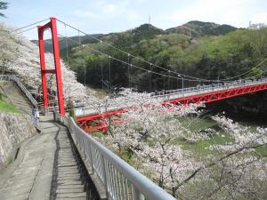 桜淵