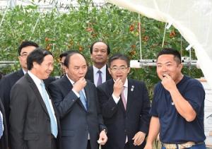 ベトナム首相が県内農園を視察しました