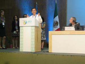 ＣＯＰ１３の第５回生物多様性「国際自治体会議」で共同声明を発信しました