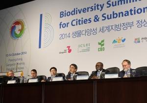 ＣＯＰ１２に参加しました