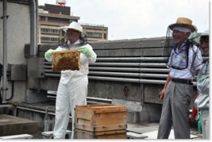 平成23年6月23日　ハチミツの採取を行いました
