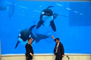 平成24年3月9日　名古屋港水族館でシャチ家族を視察