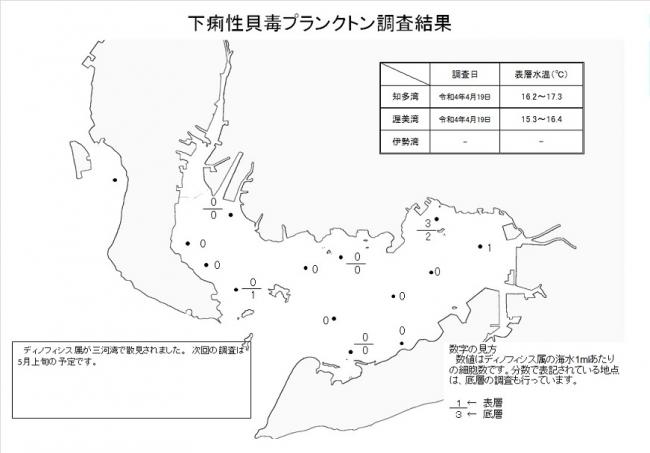 下痢性貝毒プランクトン調査結果20220419