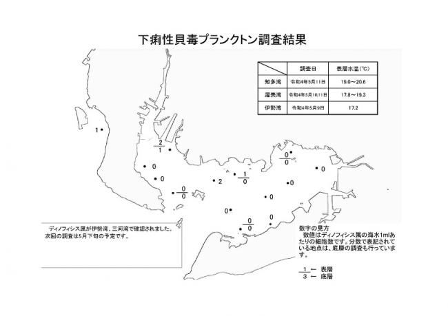 下痢性貝毒プランクトン調査結果20220509