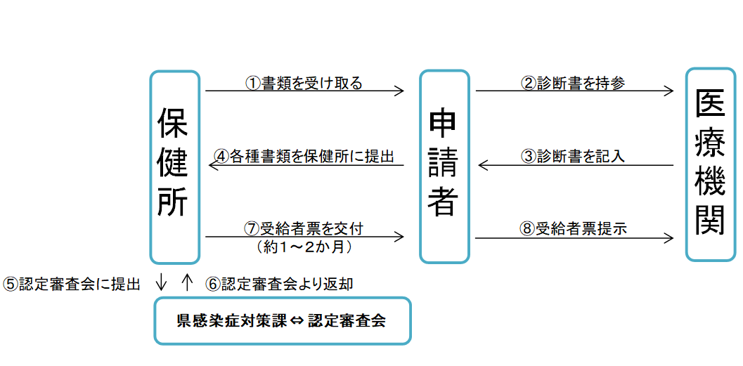 肝炎制度図