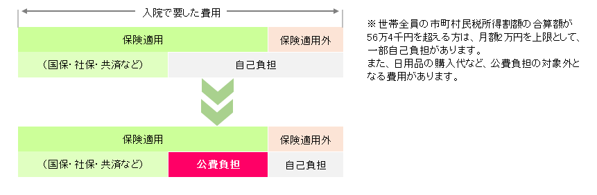 保険適用図