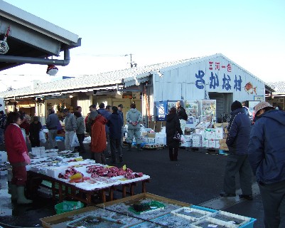 さかな村