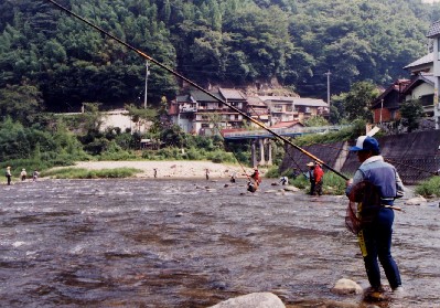 あゆの友釣り風景