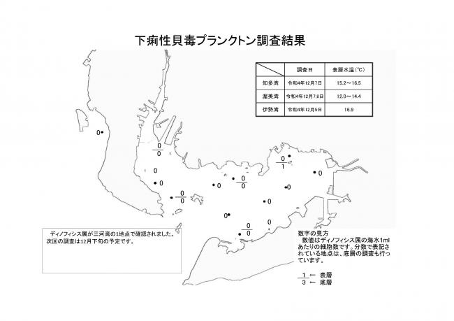 下痢性貝毒プランクトン調査結果20221205