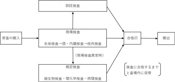 と畜検査の流れを説明しています