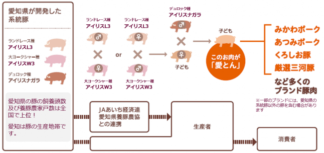 生産体制図