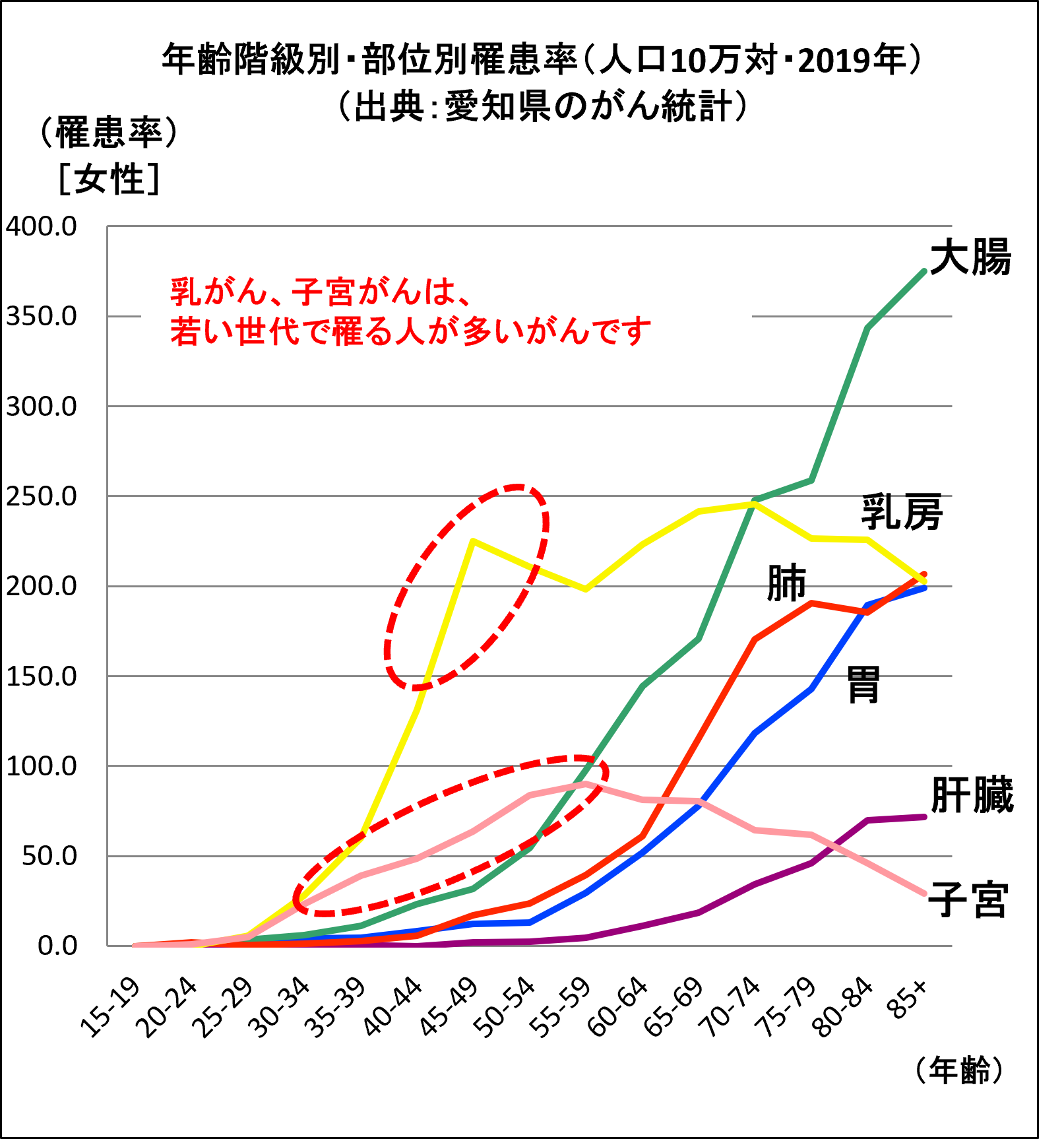 年齢階級別・部位別罹患率