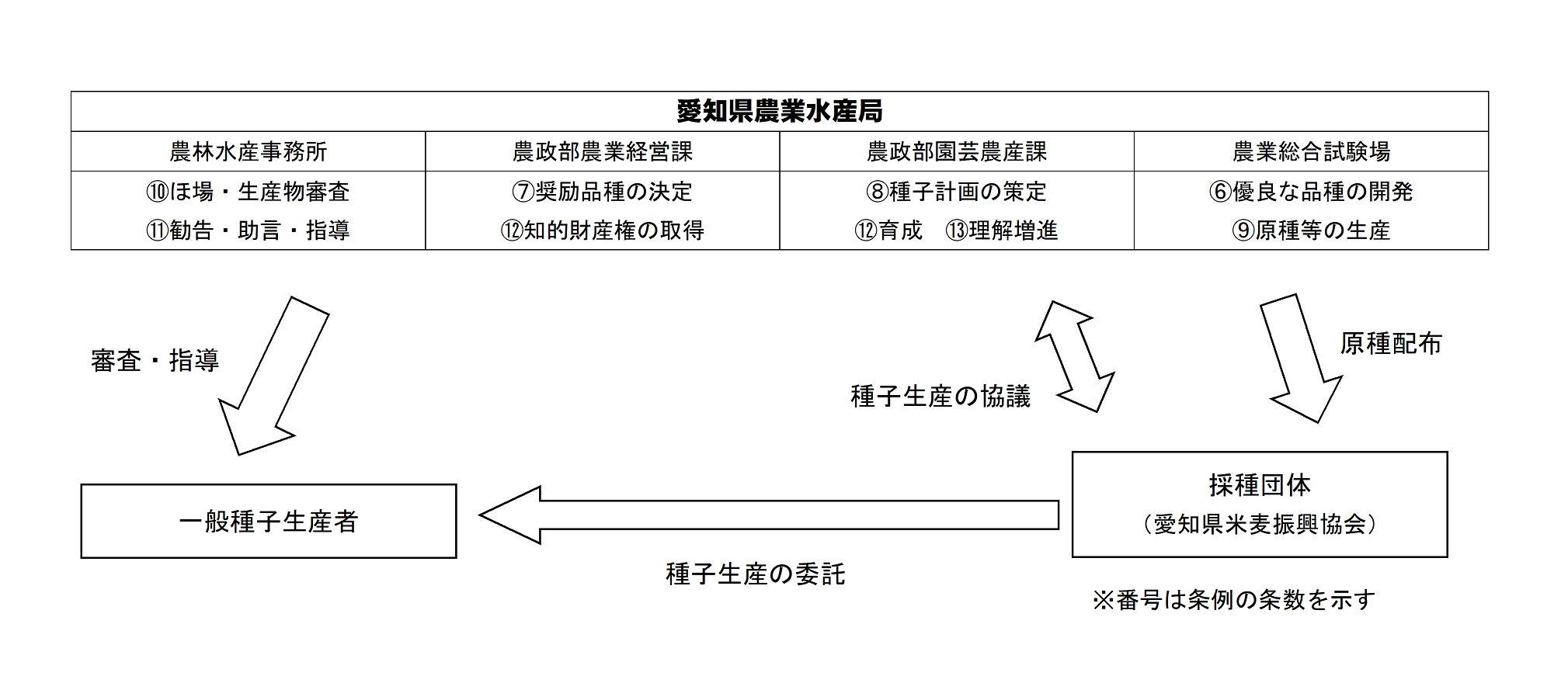 種子生産の流れ